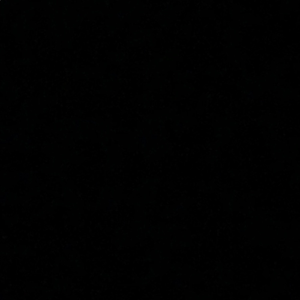 Meet your Posher, Shelley